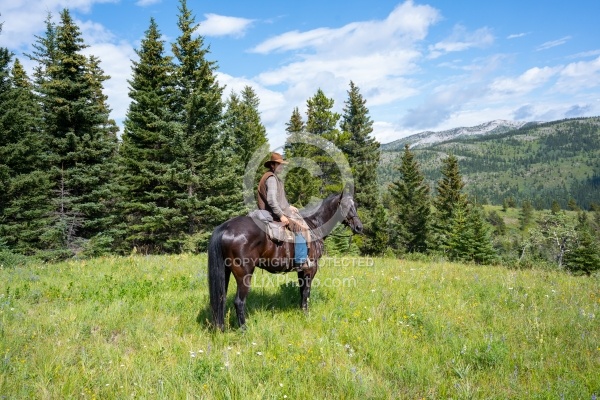 On the Trails - Lost Trail Ride - Anchor D