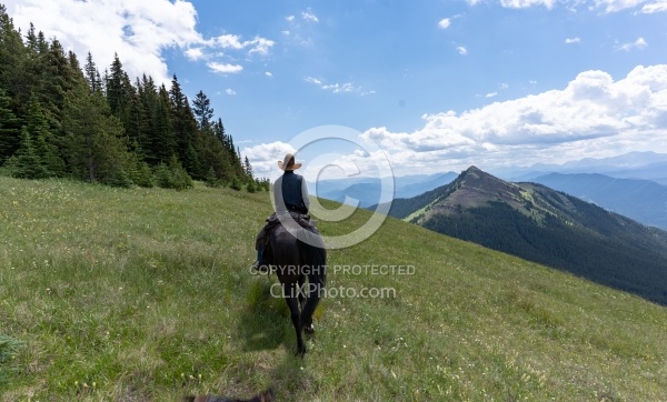 On the Trails - Lost Trail Ride - Anchor D