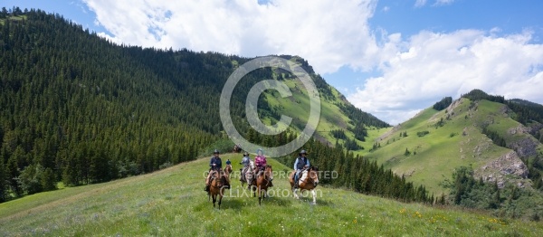 On the Trails - Lost Trail Ride - Anchor D