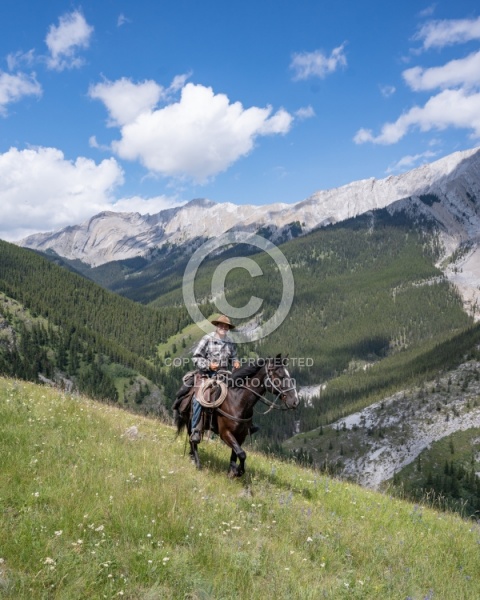 On the Trails - Lost Trail Ride - Anchor D