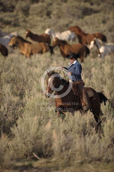 Cowgirls at Sombrero Ranch