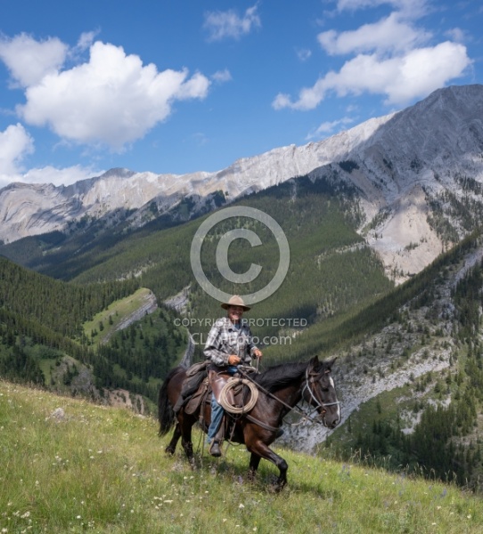 On the Trails - Lost Trail Ride - Anchor D