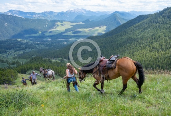 Leading Horses Downhill on the Lost Trail Ride with Anchor D