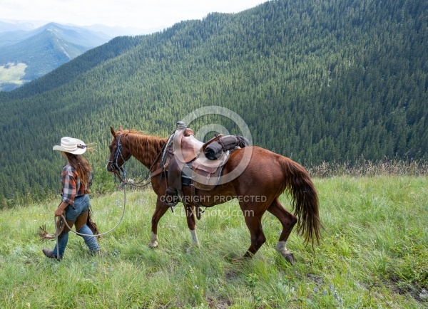 Leading Horses Downhill on the Lost Trail Ride with Anchor D