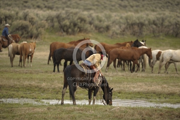 Cowgirls at Sombrero Ranch