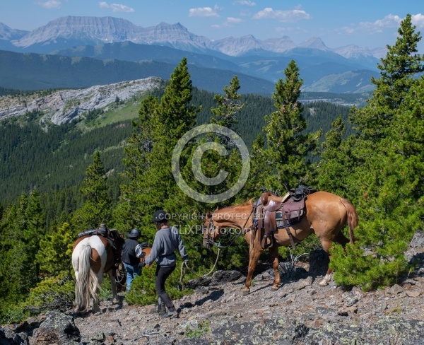 Leading Horses Downhill - Lost Trail Ride - Anchor D