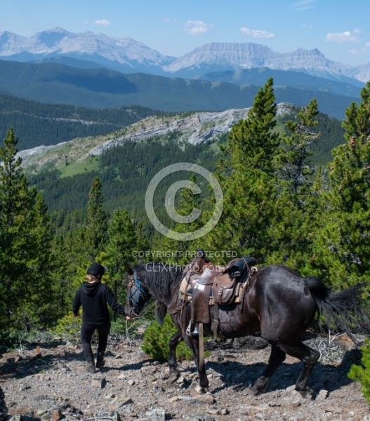 Leading Horses Downhill - Lost Trail Ride - Anchor D
