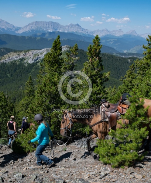 Leading Horses Downhill - Lost Trail Ride - Anchor D