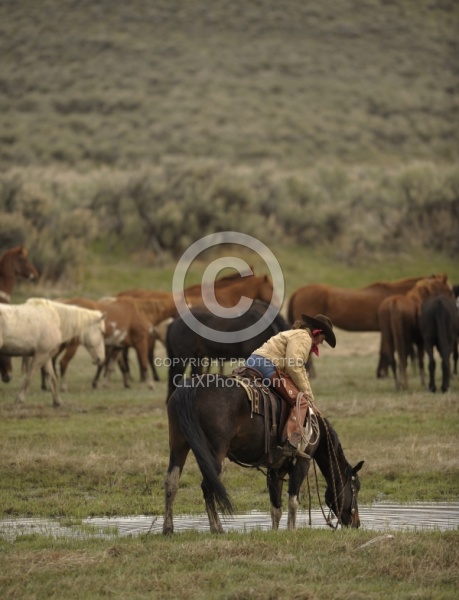 Cowgirls at Sombrero Ranch