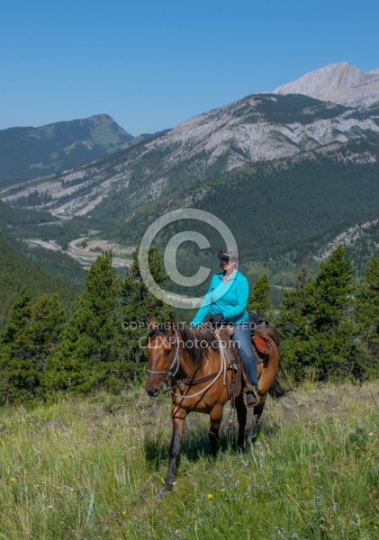 On The Trails - Lost Trail Ride - Anchor D