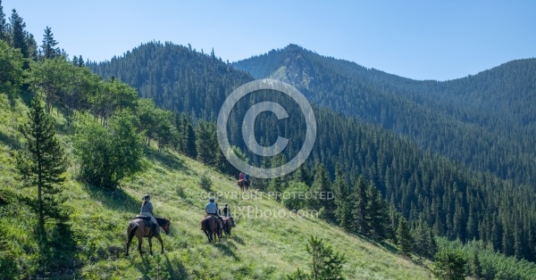 On The Trails - Lost Trail Ride - Anchor D