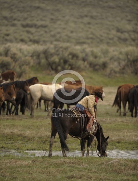 Sombrero Ranch Cowgirls