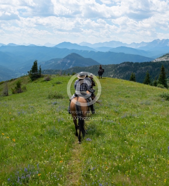 On The Trails - Lost Trail Ride - Anchor D