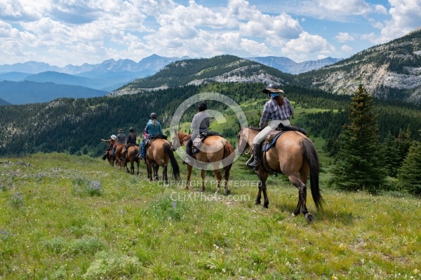 On The Trails - Lost Trail Ride - Anchor D