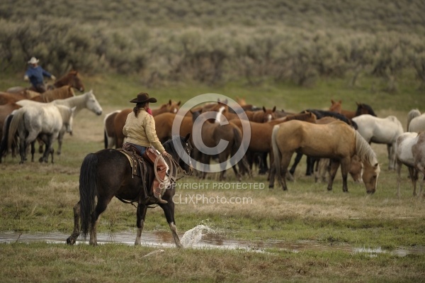 Sombrero Ranch Cowgirls