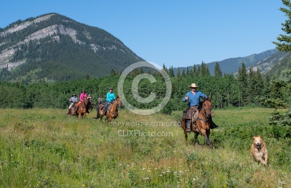 Galloping on The Lost Trail Ride