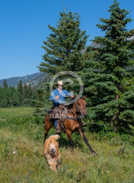 Galloping on The Lost Trail Ride