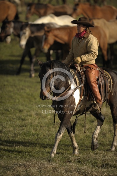 Sombrero Ranch Cowgirls