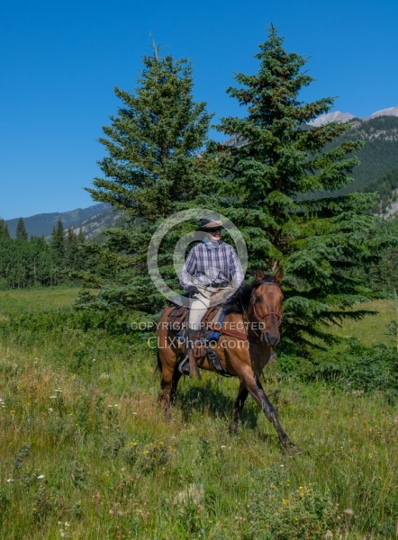 Galloping on The Lost Trail Ride