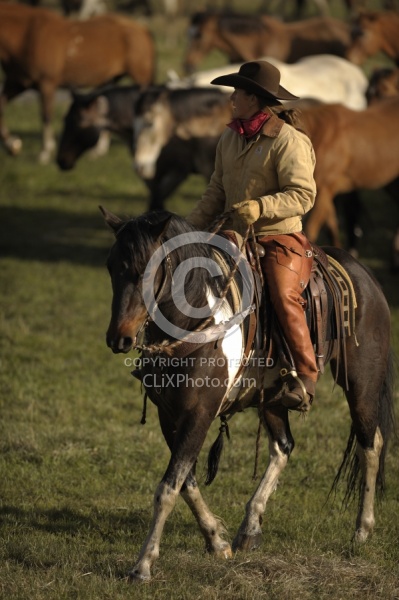Sombrero Ranch Cowgirls