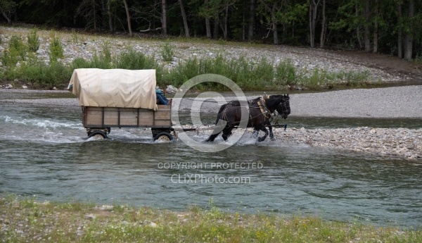 River Crossing - Lost Trail Ride - Anchor D