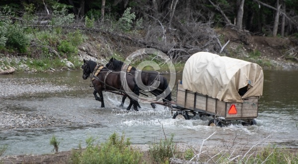 River Crossing - Lost Trail Ride - Anchor D