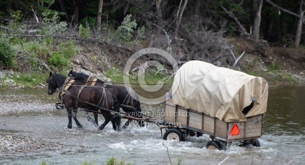 River Crossing - Lost Trail Ride - Anchor D