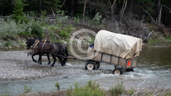 River Crossing - Lost Trail Ride - Anchor D