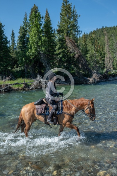 River Crossing - The Lost Trail Ride - Anchor D