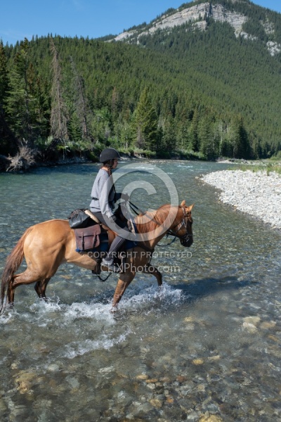 River Crossing - The Lost Trail Ride - Anchor D