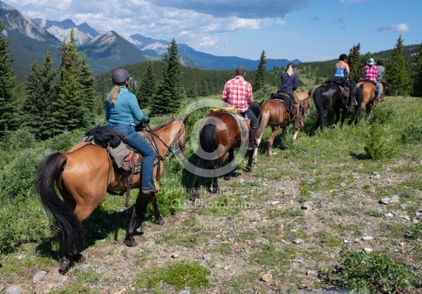 On the Trails - Lost Trail Ride - Anchor D