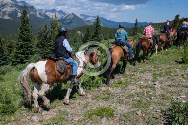 On the Trails - Lost Trail Ride - Anchor D