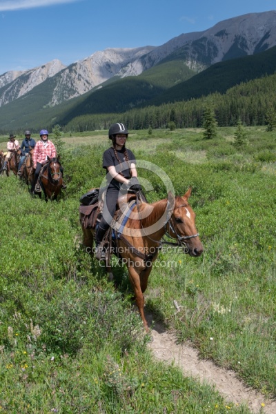 On the Trails - Lost Trail Ride - Anchor D