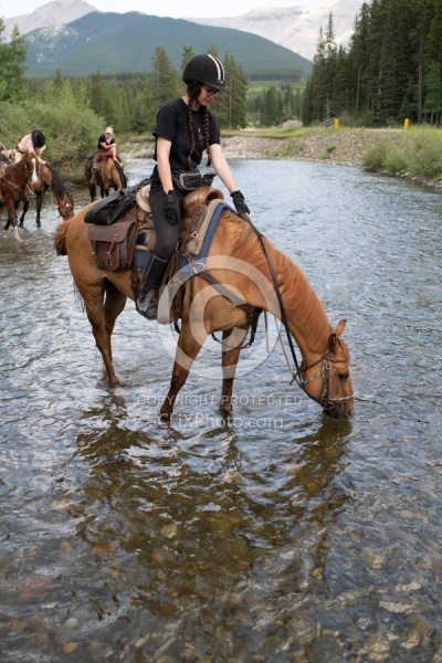River Crossing - Lost Trail Ride - Anchor D