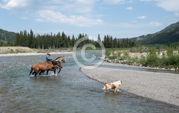 River Crossing - Lost Trail Ride - Anchor D