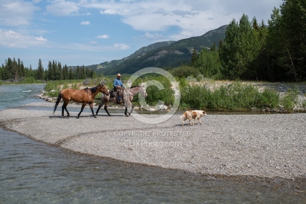 River Crossing - Lost Trail Ride - Anchor D