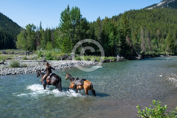 River Crossing - Lost Trail Ride - Anchor D