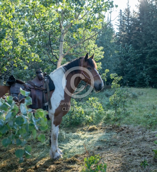 In Camp - Anchor D - Lost Trail Ride