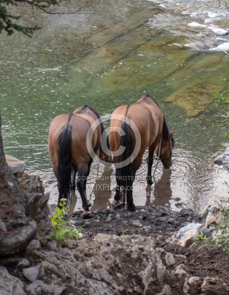 In Camp - Anchor D - Lost Trail Ride