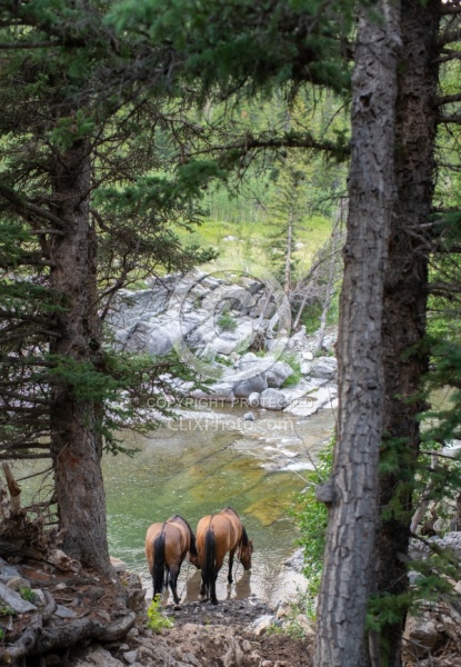In Camp - Anchor D - Lost Trail Ride