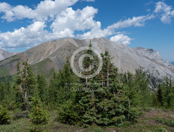 Scenic Views - The Lost Trail Ride with Anchor D