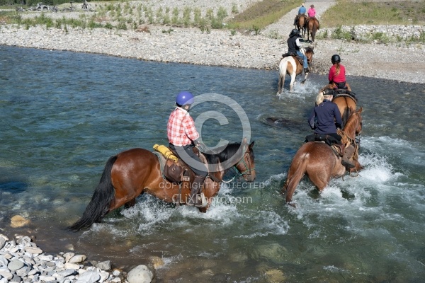 River Crossing - The Lost Trail Ride - Anchor D