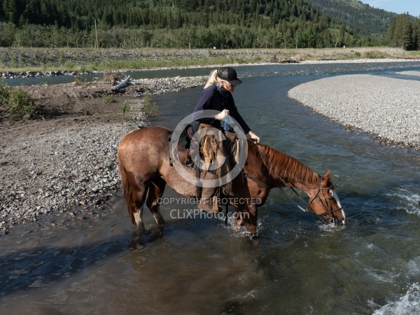 River Crossing - The Lost Trail Ride - Anchor D