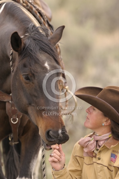 Horse and Human Bond