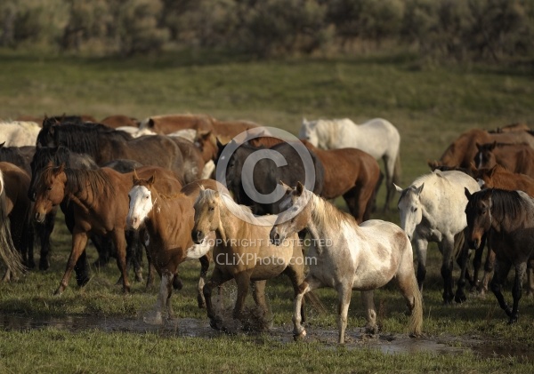 Running Through Water