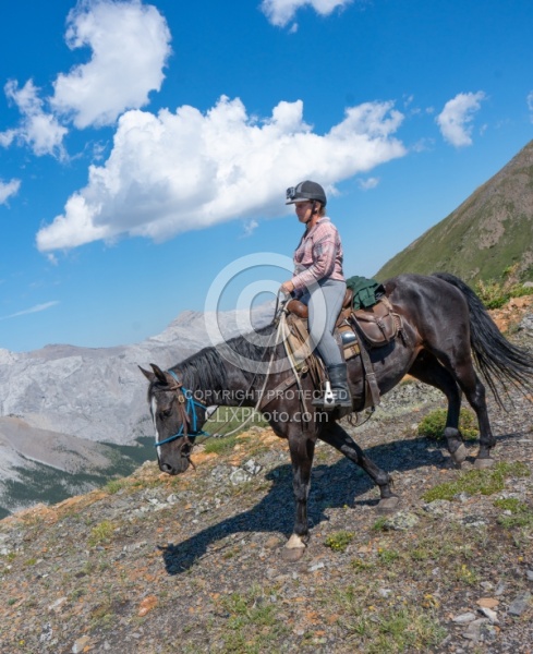 On The Trail - The Lost Trail Ride - Anchor D