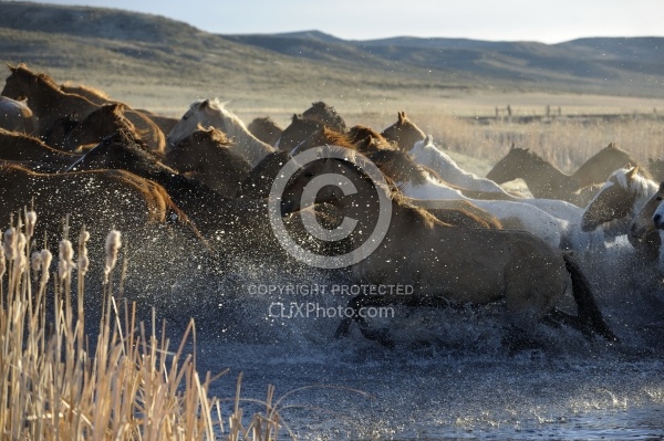 Running Through Water