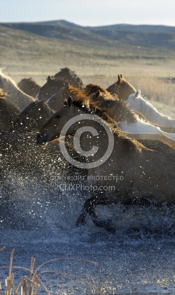 Running Through Water