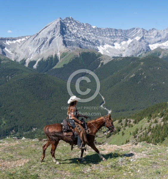 On the Trails - Lost Trail Ride - Anchor D