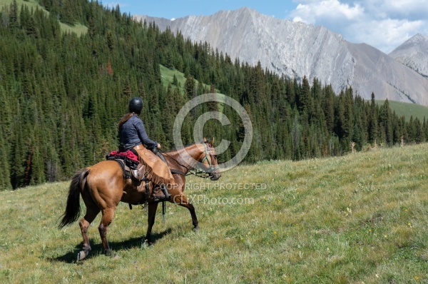 On The Trails - Lost Trail Ride - Anchor D